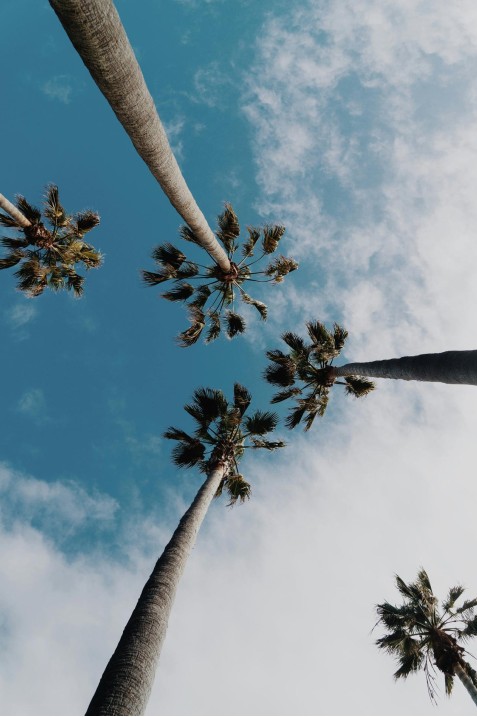 Privacy illustration