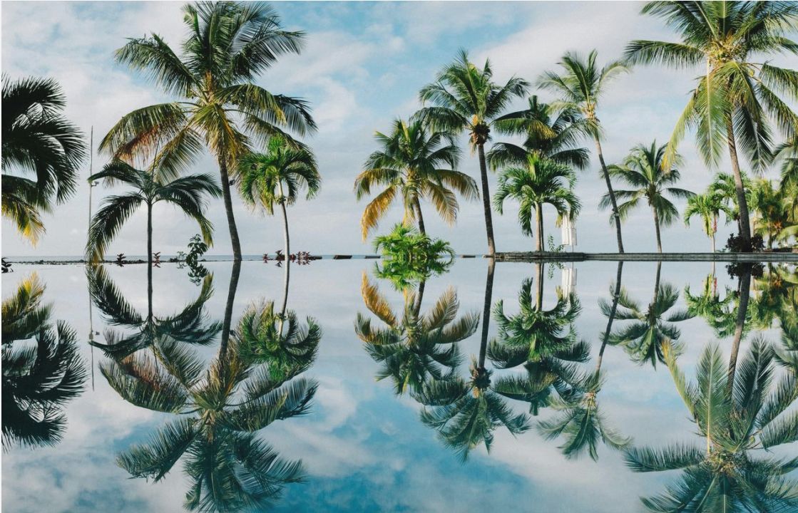 Kids on beginner slope