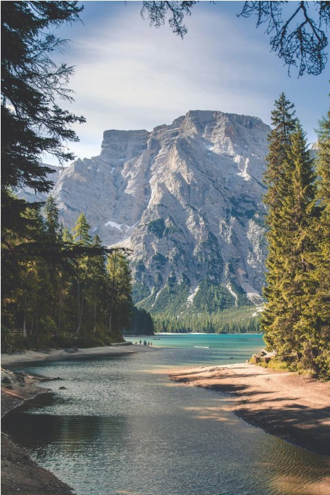 Skis ready for rental